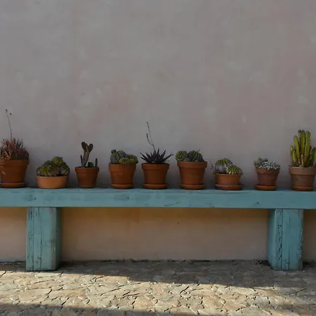 La Raganetta Holiday home *